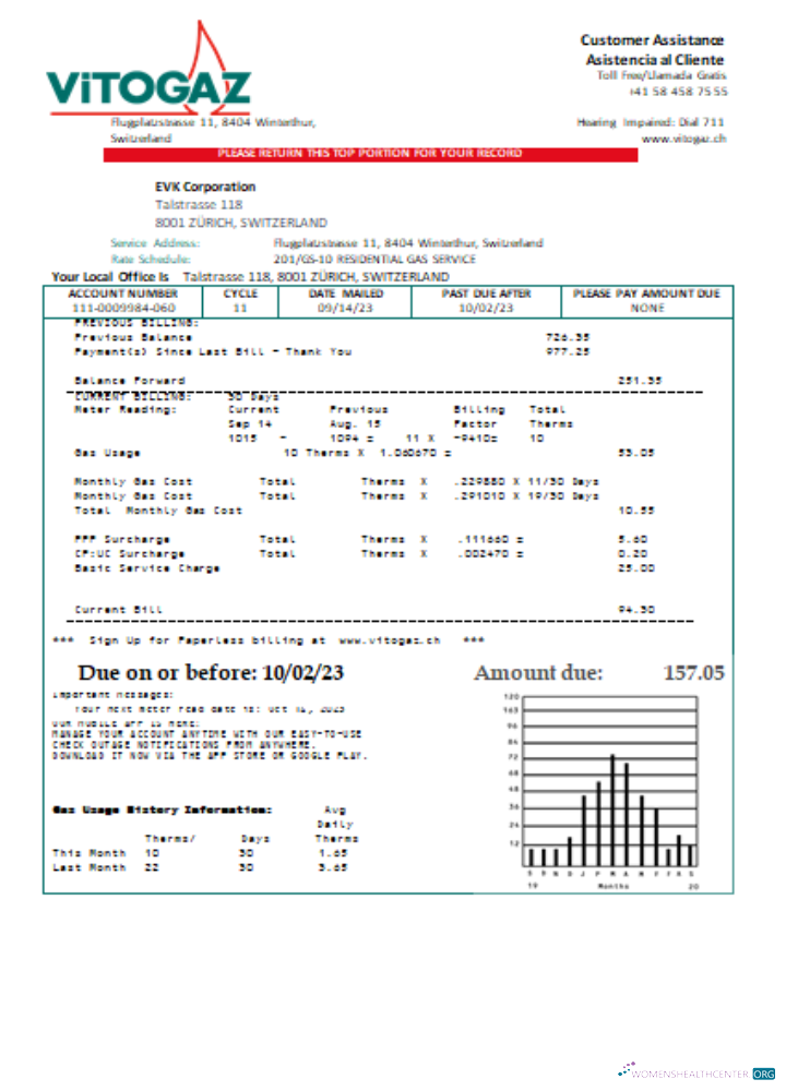 Download Vitogaz Switzerland AG utility business bill SCR Photoshop template